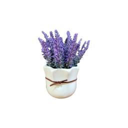 ARBUSTO LAVANDA MACETA CERAMICA