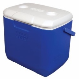 CONSERVADORA COLEMAN 28,4 LTRS
