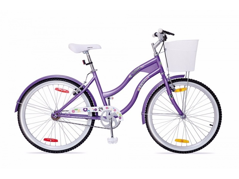 BICICLETA BACCIO -MYSTIC  R 24