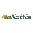 ELLIOTTIIS